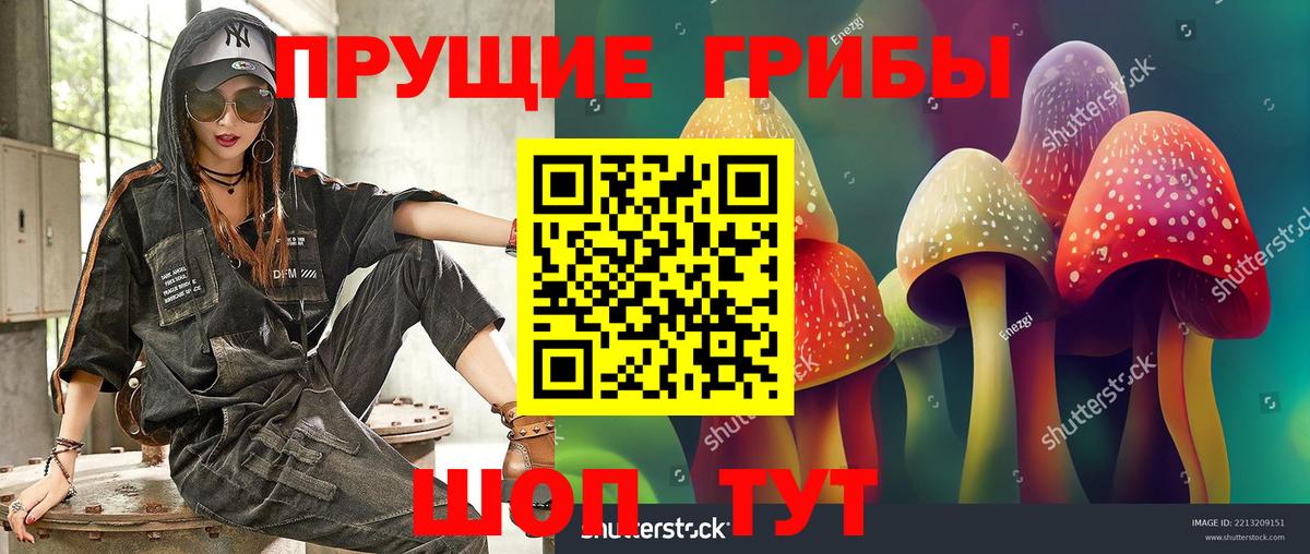 Галлюциногенные грибы Cubensis Ачинск