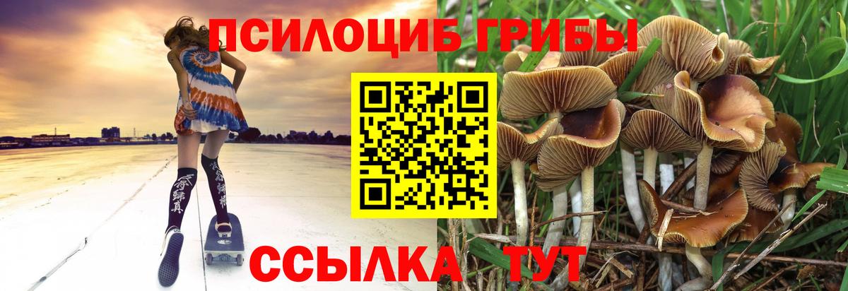 Ачинск  Галлюциногенные грибы ЛСД  Вход с VPN 